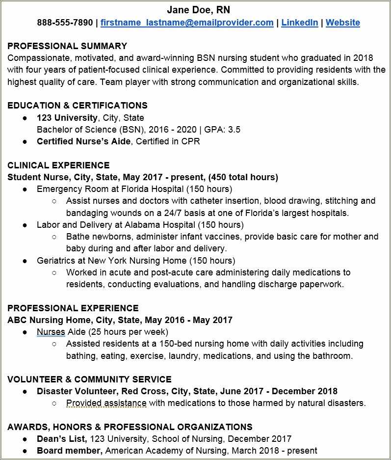 resume-examples-professional-summary-nursing-resume-example-gallery