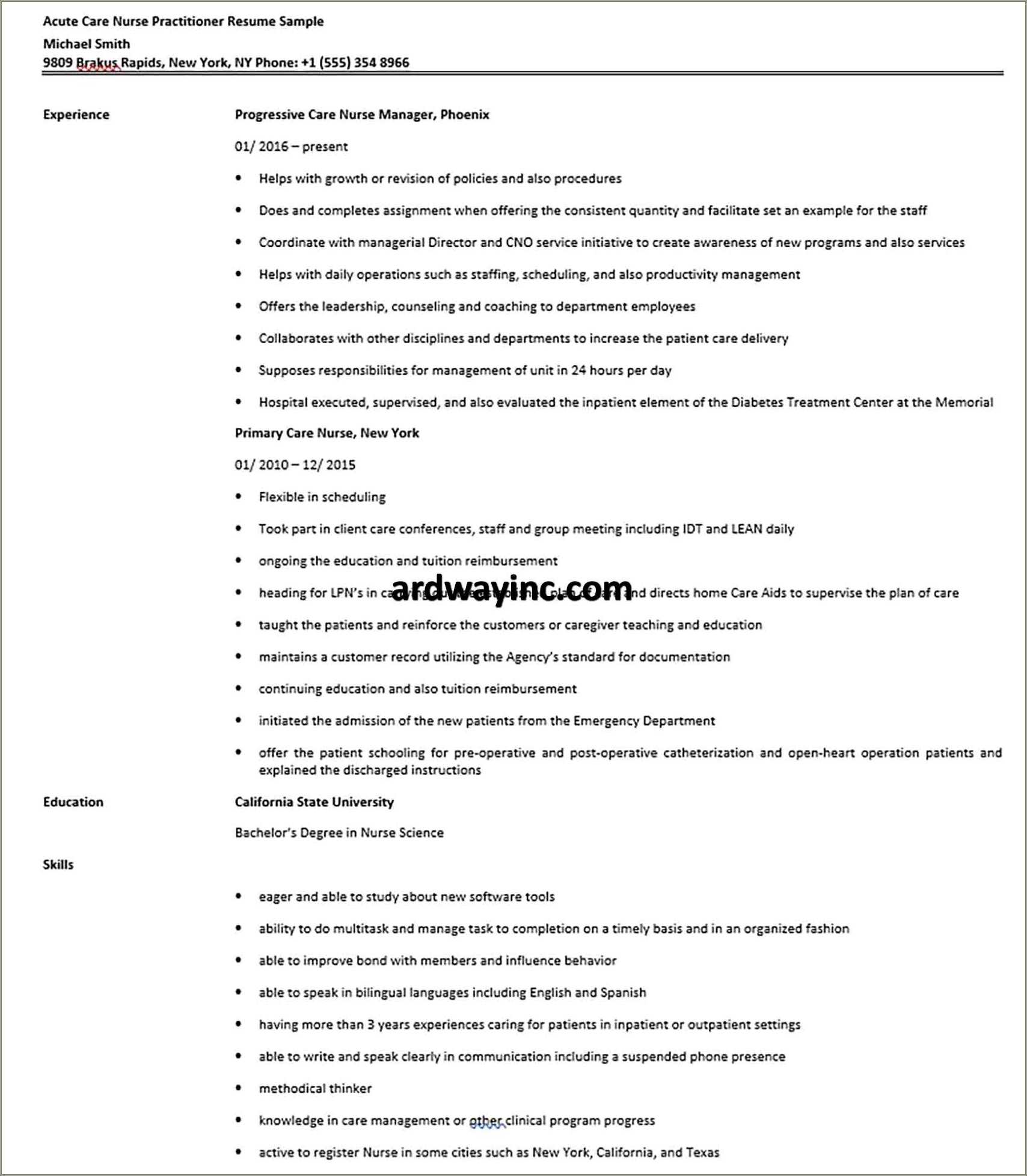 acute-care-nurse-practitioner-resume-objectives-resume-example-gallery