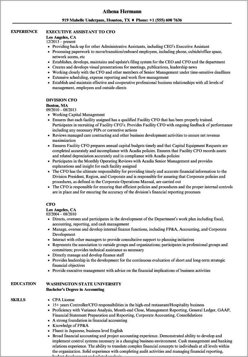 examples-of-chief-financial-officer-resume-resume-example-gallery