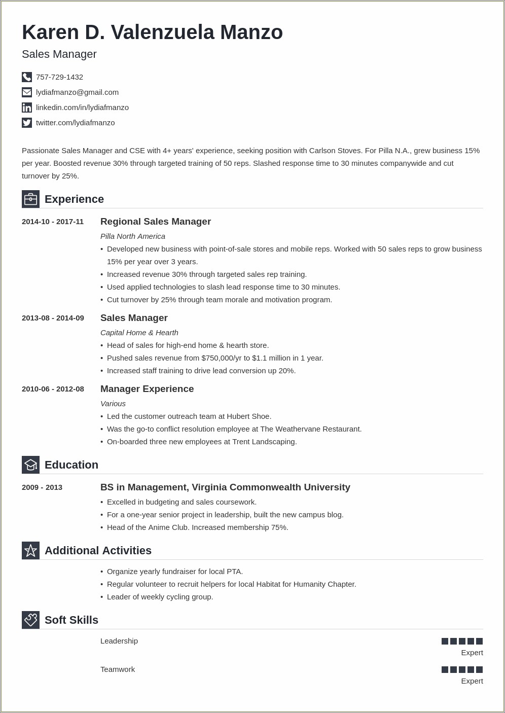 resume summary examples skills