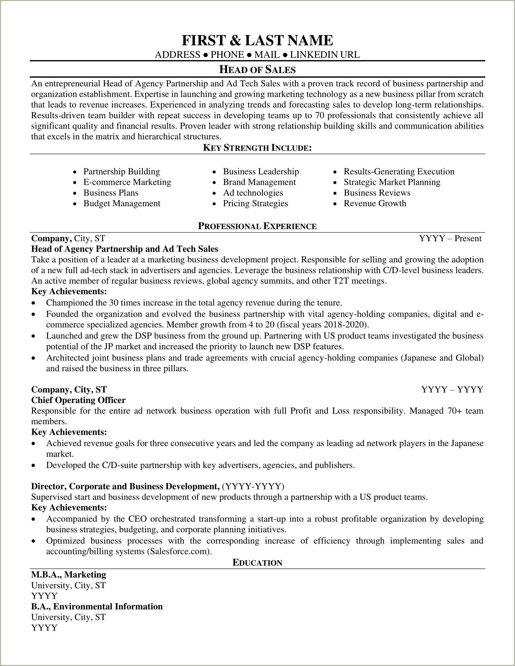 Executive For Hire Resume Examples - Resume Example Gallery