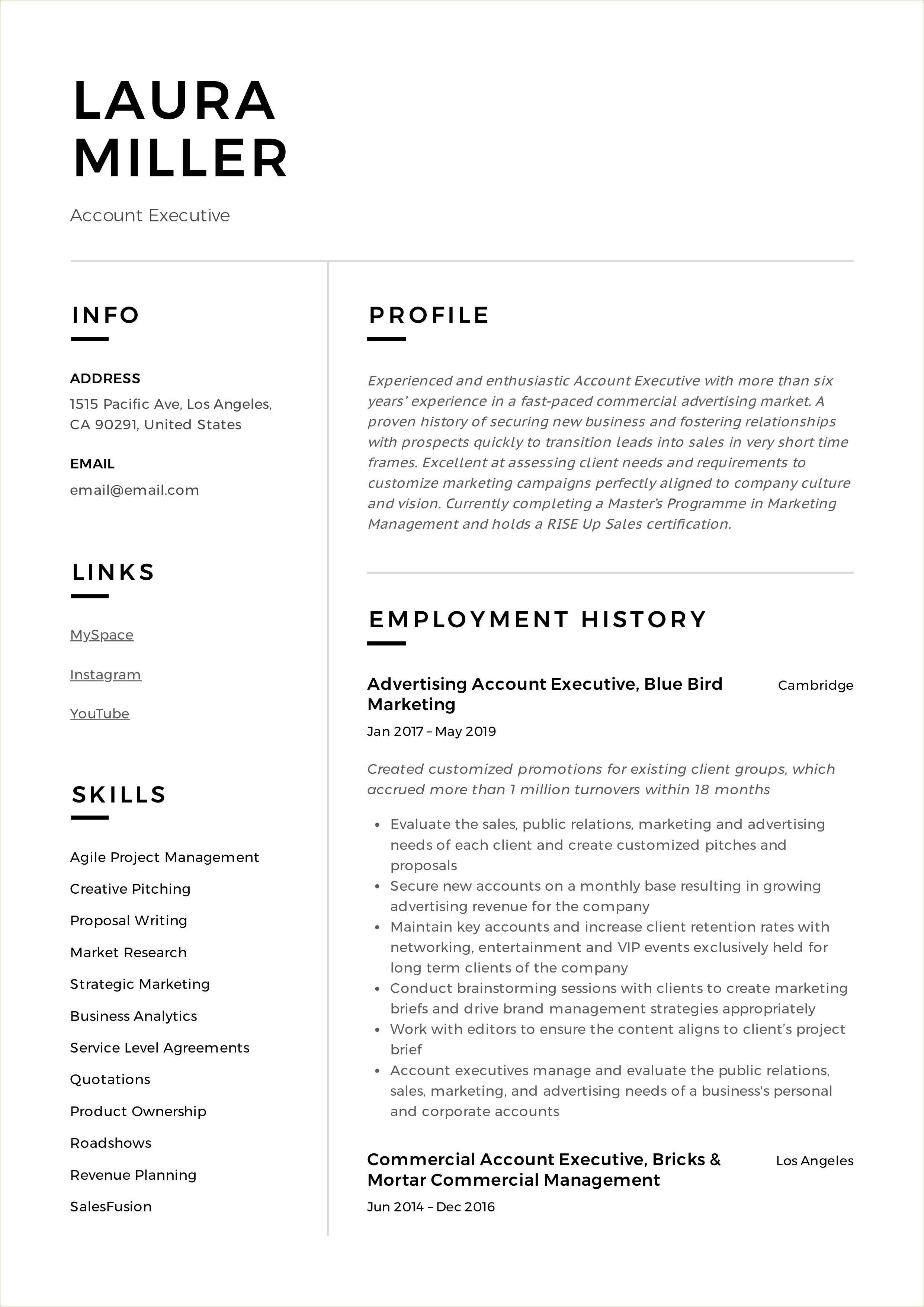 meaning-of-executive-summary-in-resume-resume-example-gallery