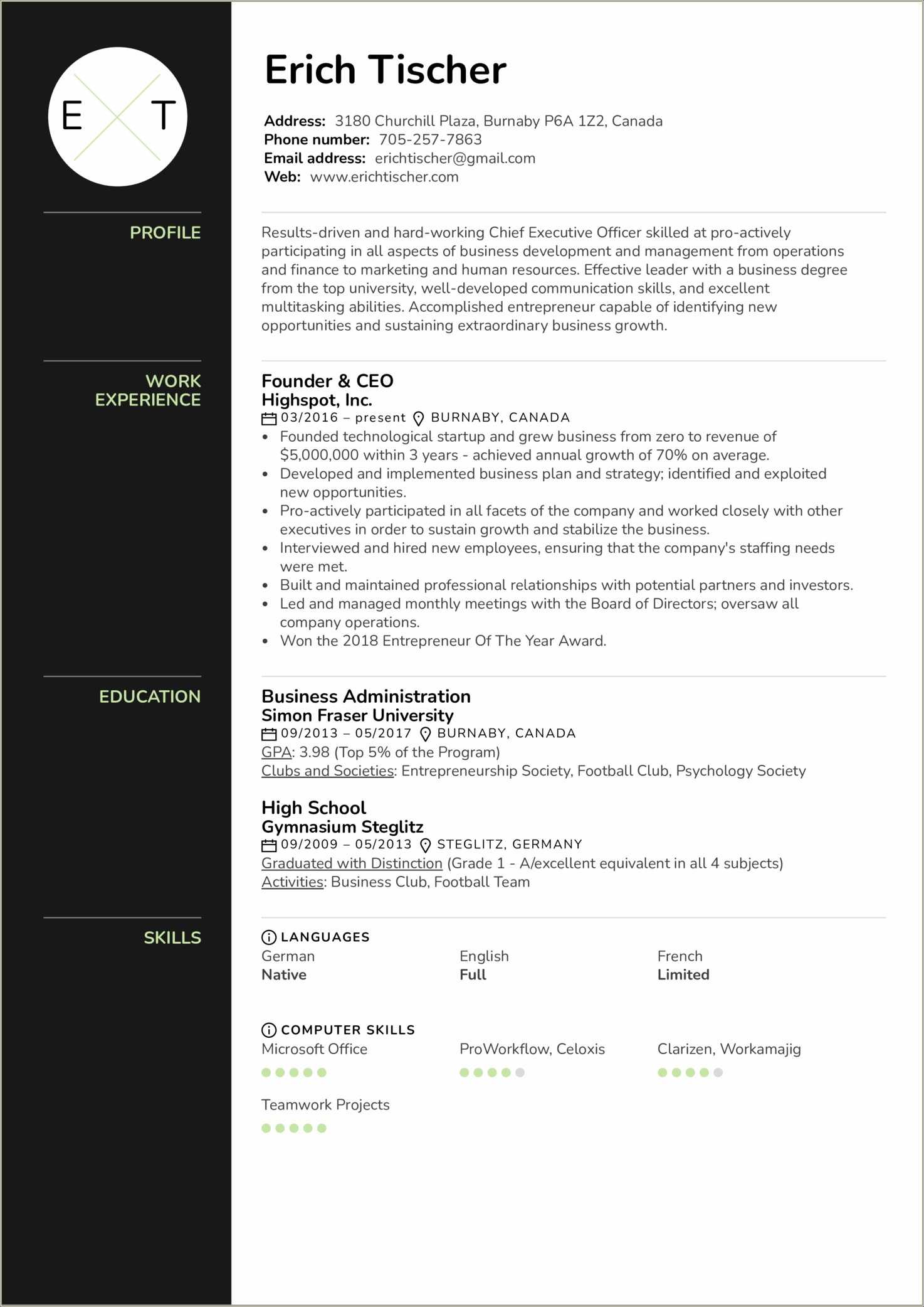 Professional Resume Executive Summary Example