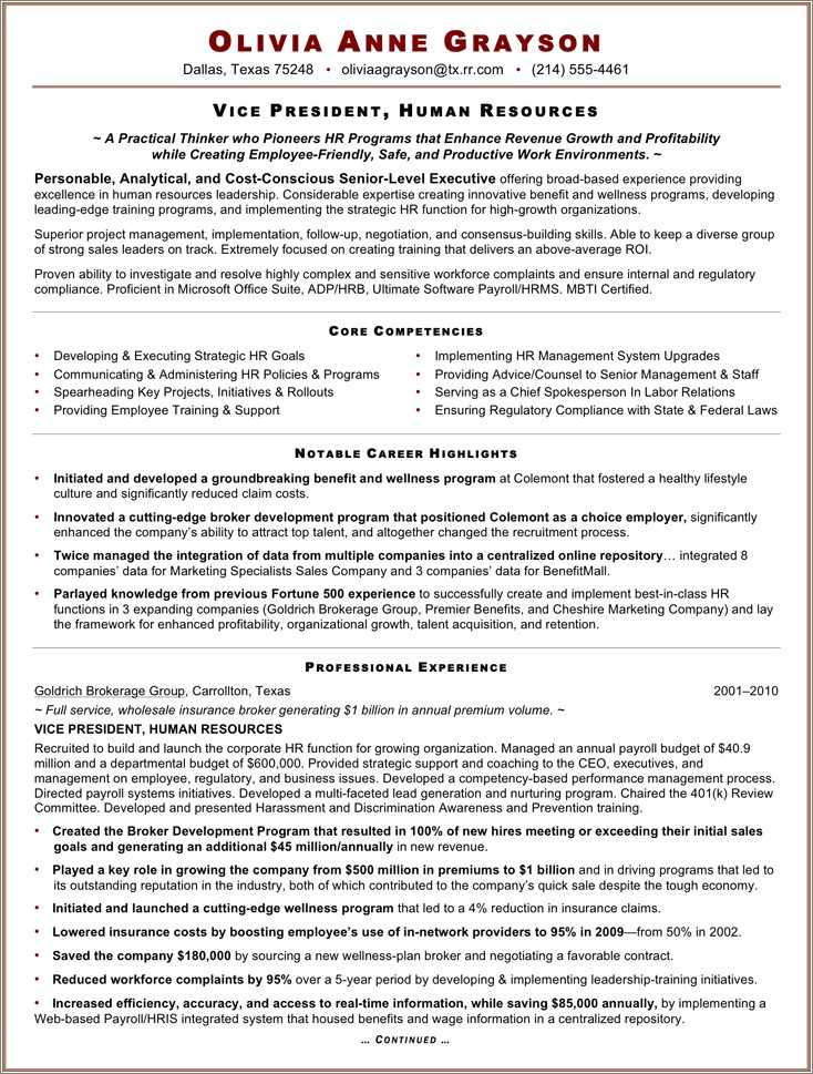 Executive Vice President Resume It Examples Resume Example Gallery 2599