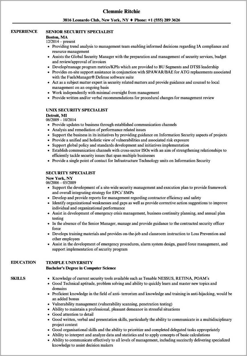 Federal It Specialist Resume Examples - Resume Example Gallery