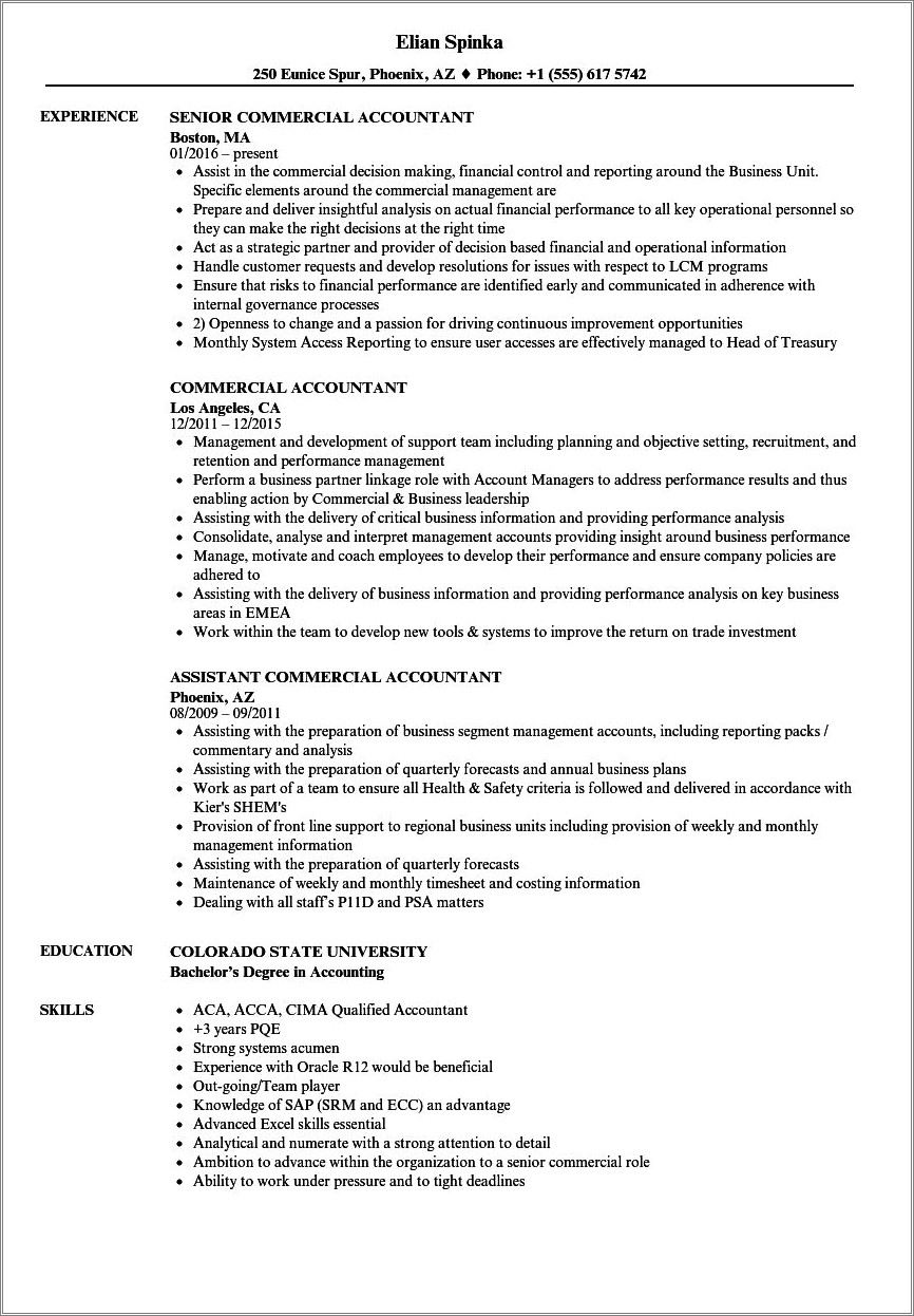 Resume Job Description Accounting Intern