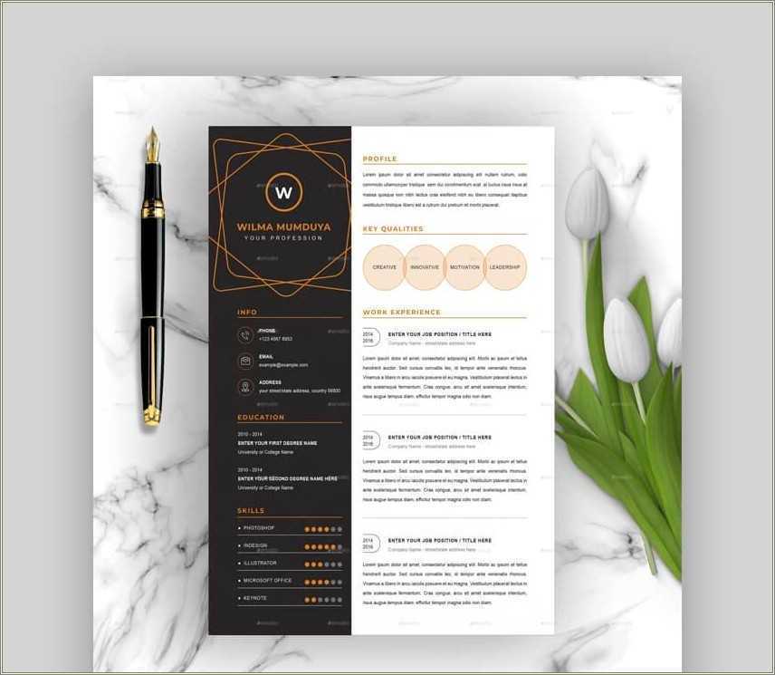 Free Graphic Resume Templates Word - Resume Example Gallery