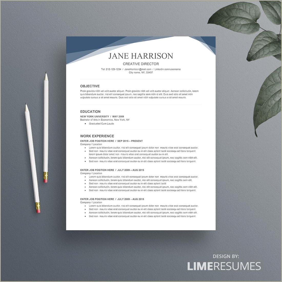 Free Resume Layouts Microsoft Word - Resume Example Gallery