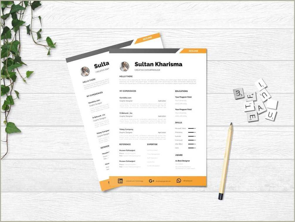 free-resume-template-graphic-designer-resume-example-gallery