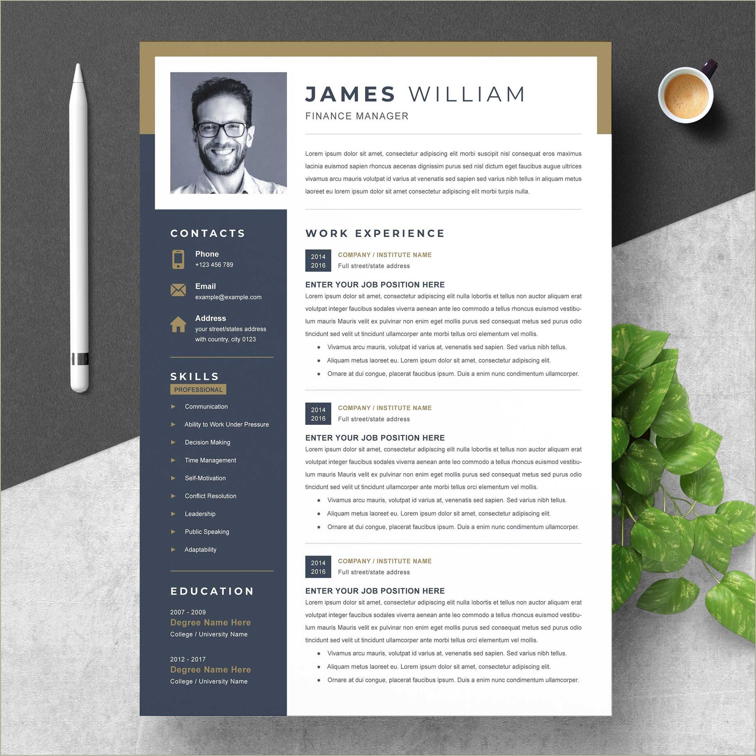 free-word-2007-resume-template-downloads-resume-example-gallery