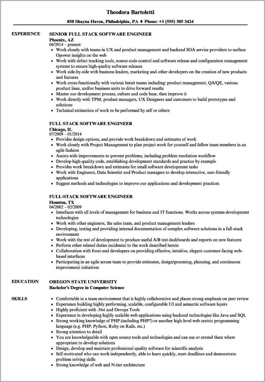 Full Stack Developer Resume Technical Skills - Resume Example Gallery