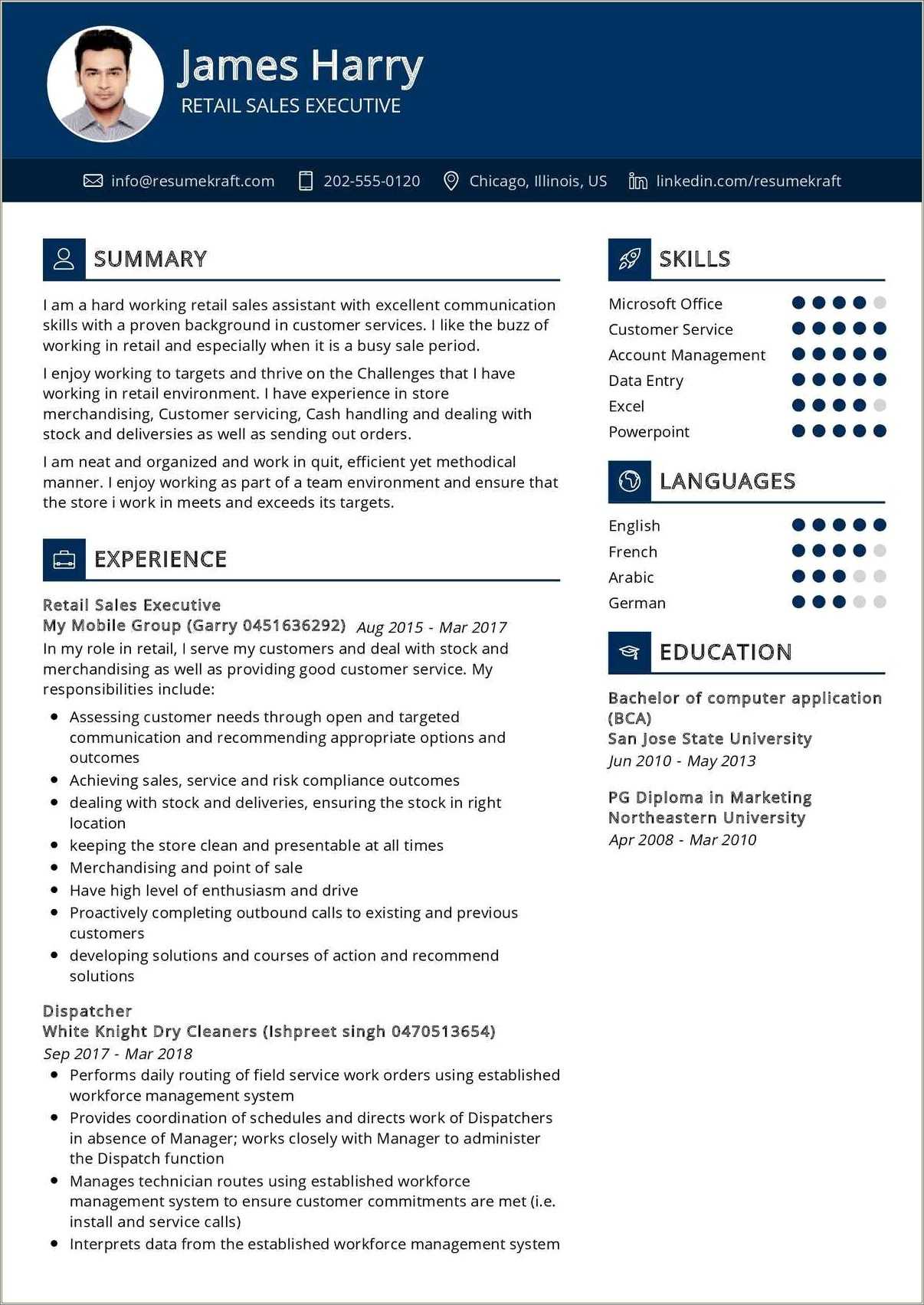 Functional Resume Example For Sales - Resume Example Gallery