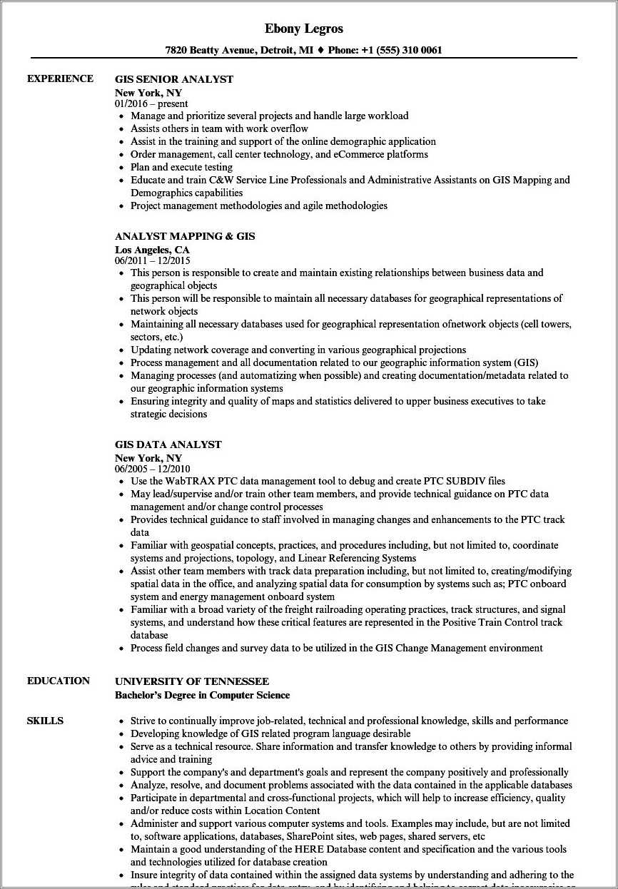 gis-analyst-job-description-for-a-resume-resume-example-gallery