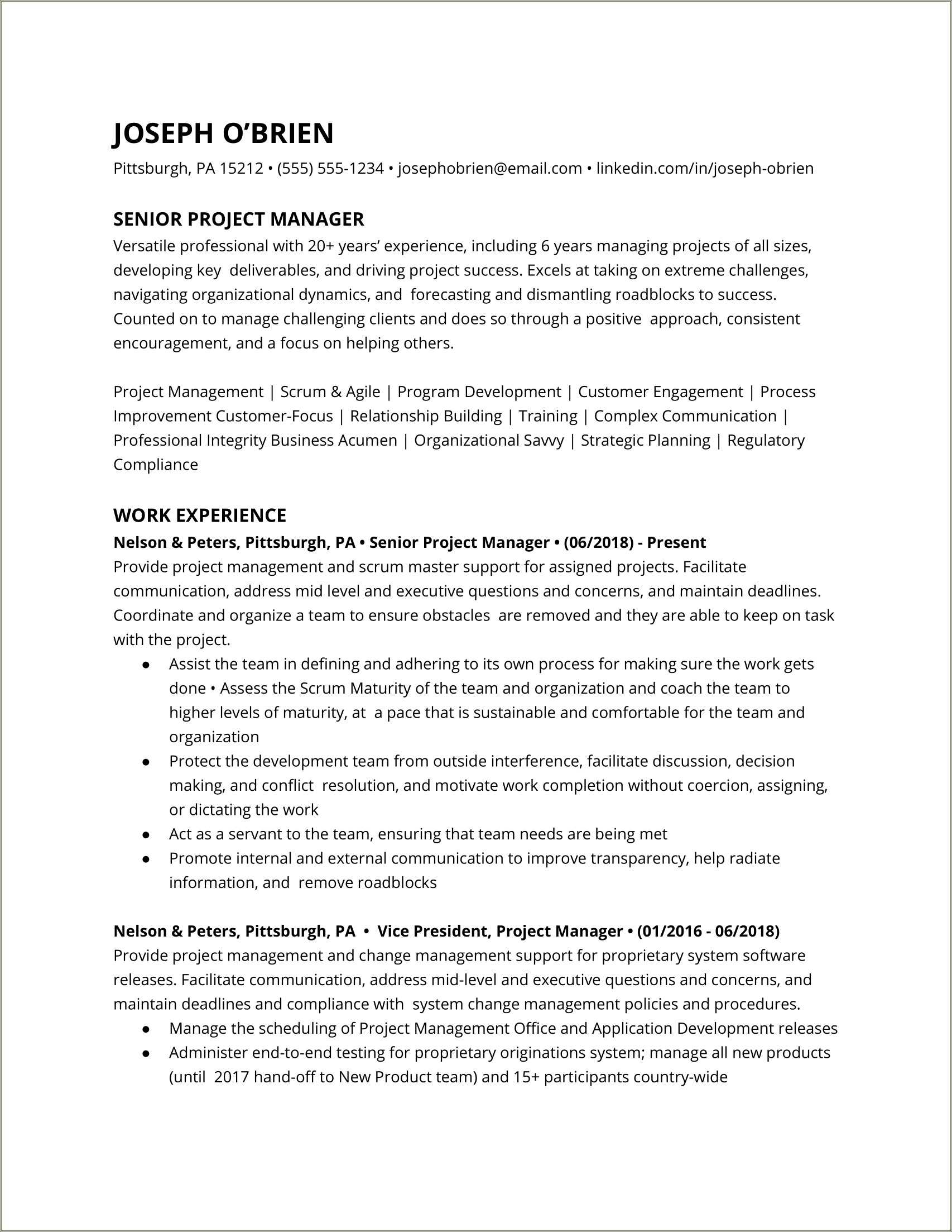 good-sample-of-project-manager-resume-resume-example-gallery