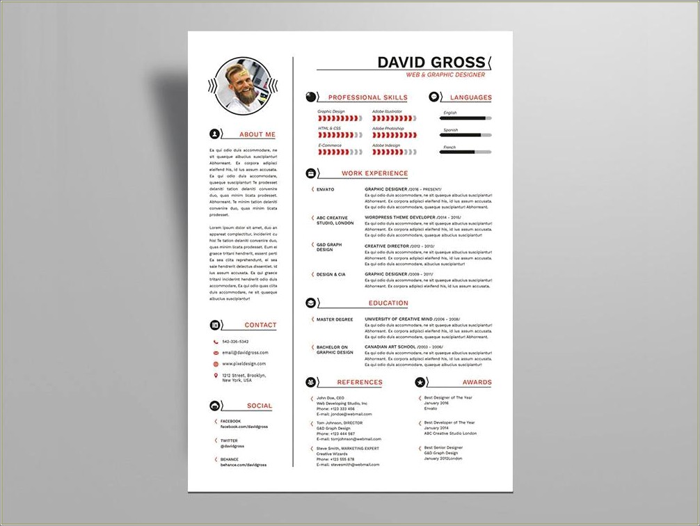 high-quality-resume-cv-for-word-indd-resume-example-gallery