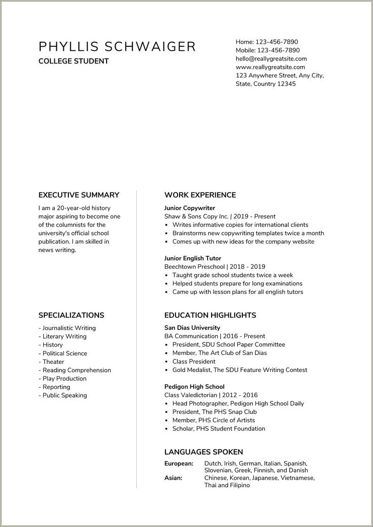 how to write a resume summary for high school students