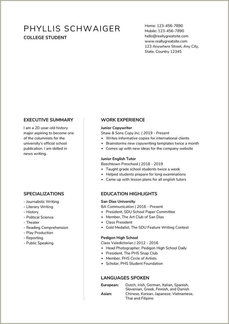  High School Resume Summary Examples For Students Resume Example Gallery