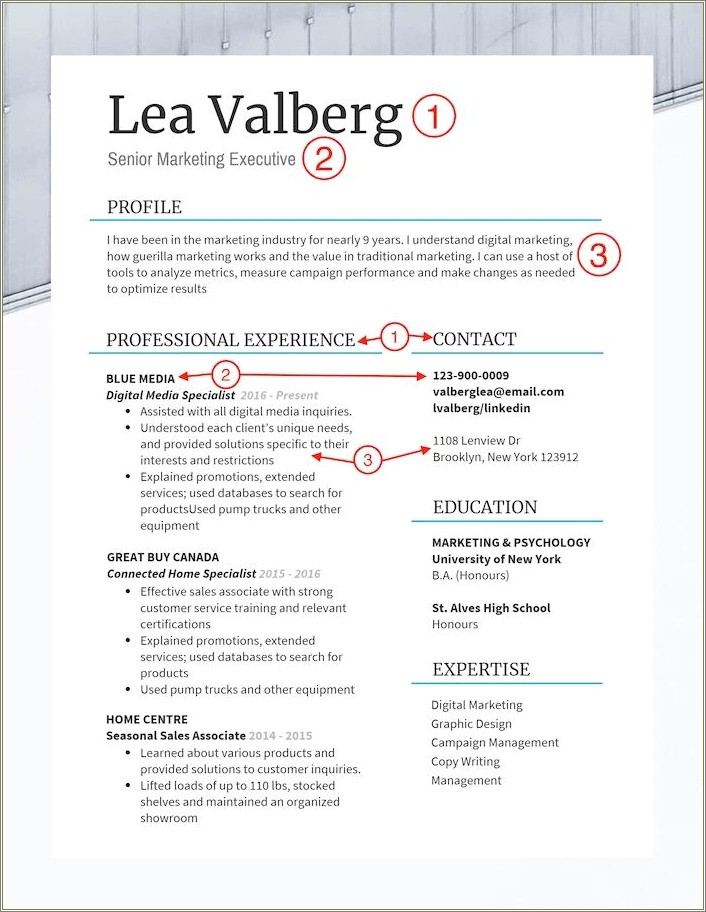 ho-to-make-a-good-resume-resume-example-gallery