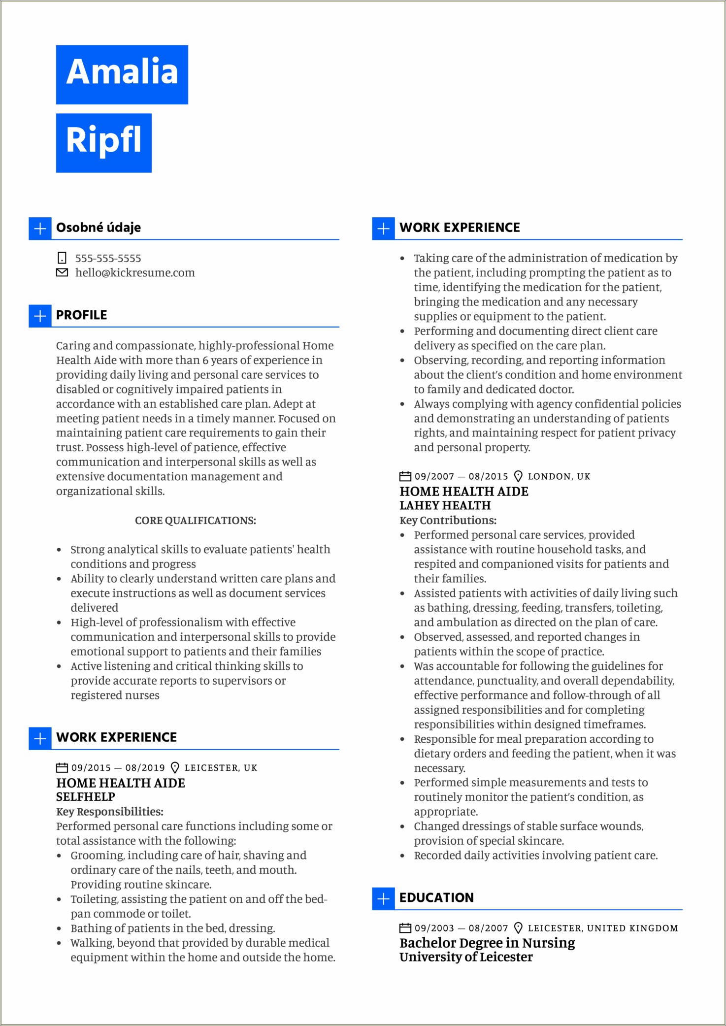 Home Health Care Agency Director Resume Sample - Resume Example Gallery