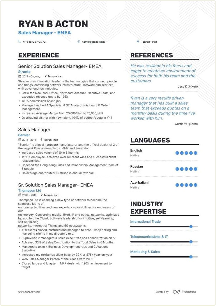 Hotel Sales Manager Resume Sample Resume Example Gallery