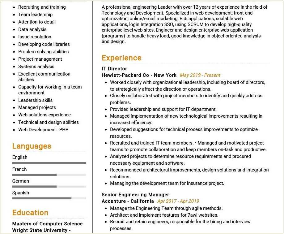 i-t-resume-example-2019-resume-example-gallery