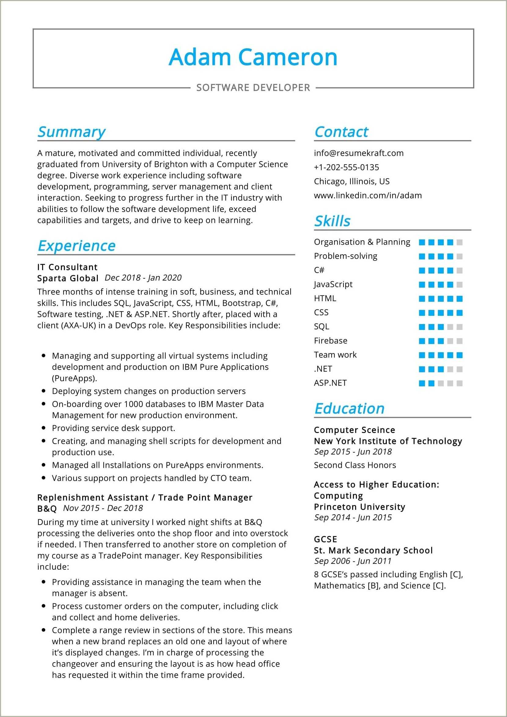 Independent Hr Consultant Resume Sample Resume Example Gallery