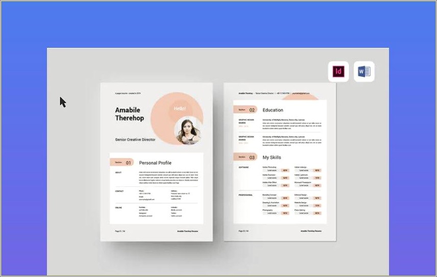 indian-resume-format-download-in-ms-word-resume-example-gallery