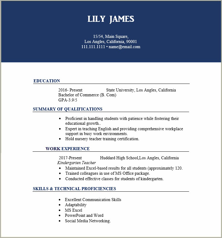 indian-resume-format-in-ms-word-resume-example-gallery