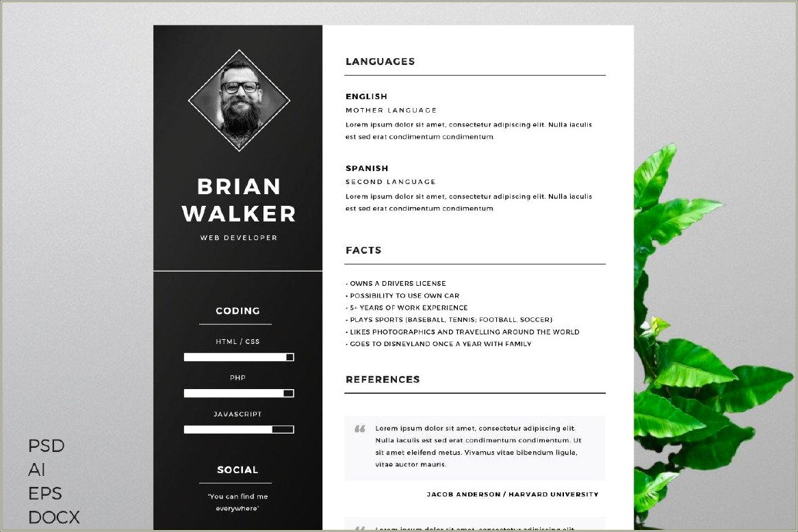 Free Download Infographic Resume Template
