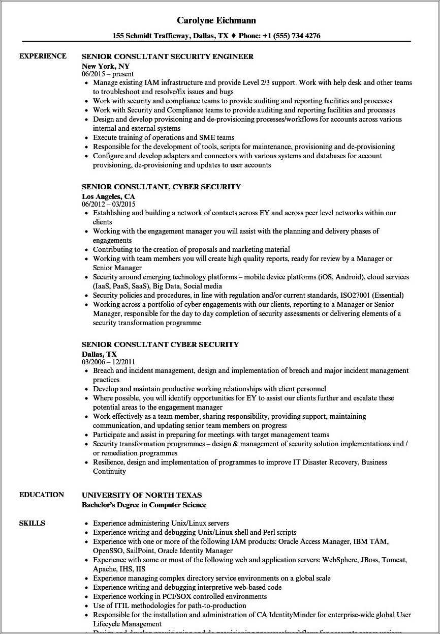 Information Security Consultant Resume Sample - Resume Example Gallery