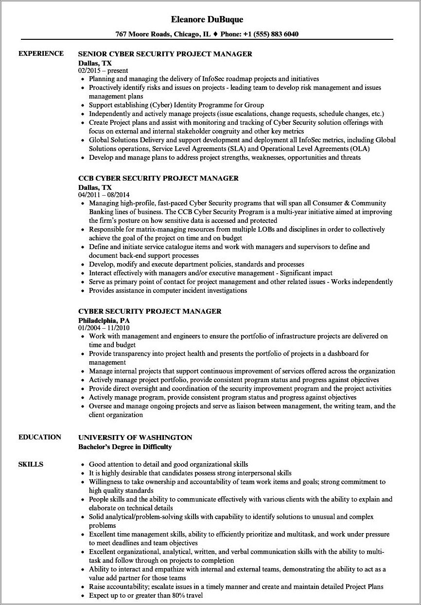 information-security-project-manager-resume-resume-example-gallery