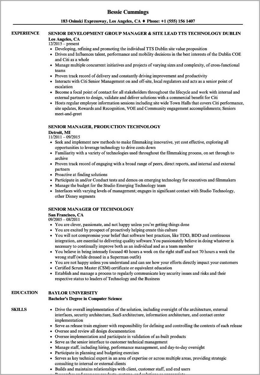 Information Technology Director Resume Example - Resume Example Gallery