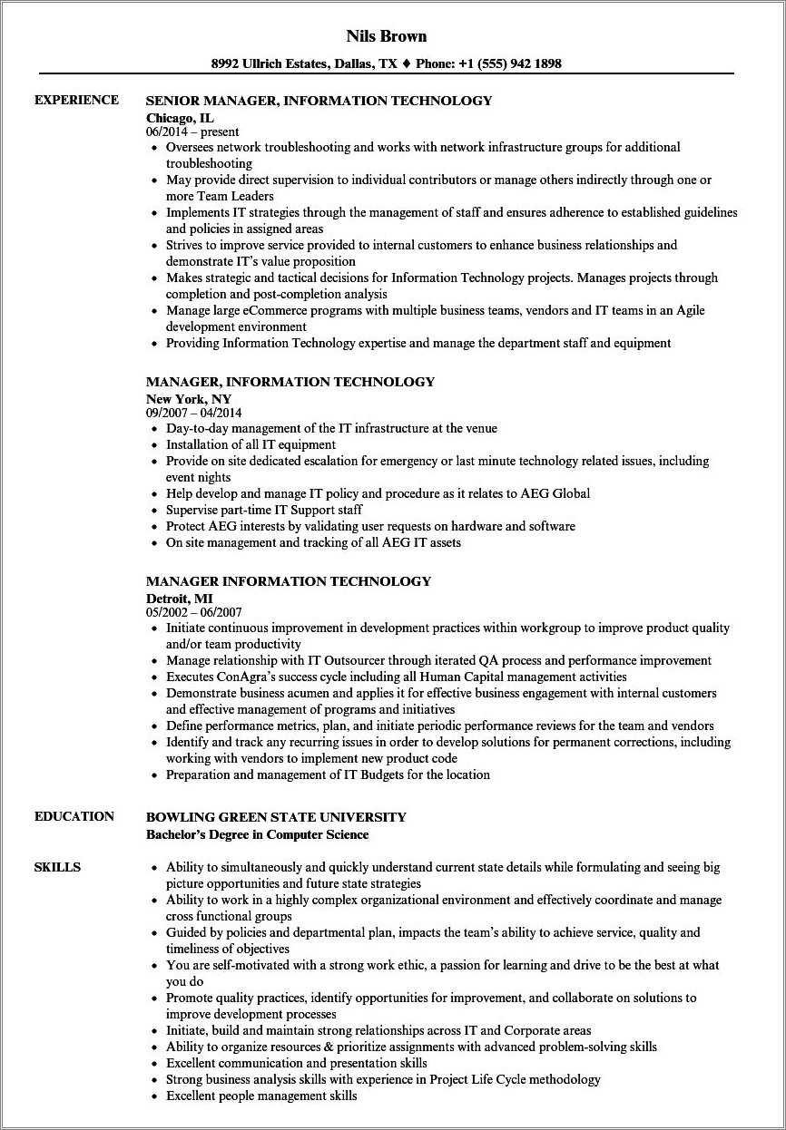 information-technology-manager-resume-examples-resume-example-gallery