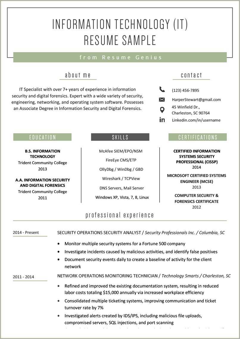 information-technology-resume-sample-format-resume-example-gallery