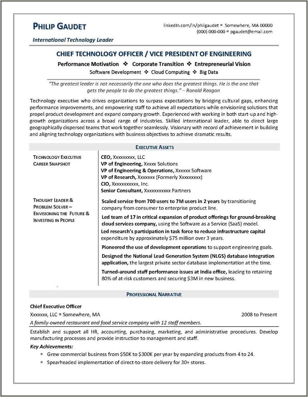 Information Technology Vice President Resume Sample Resume Example Gallery 2239