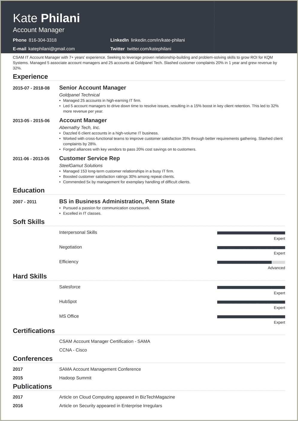 insurance-account-manager-resume-template-resume-example-gallery