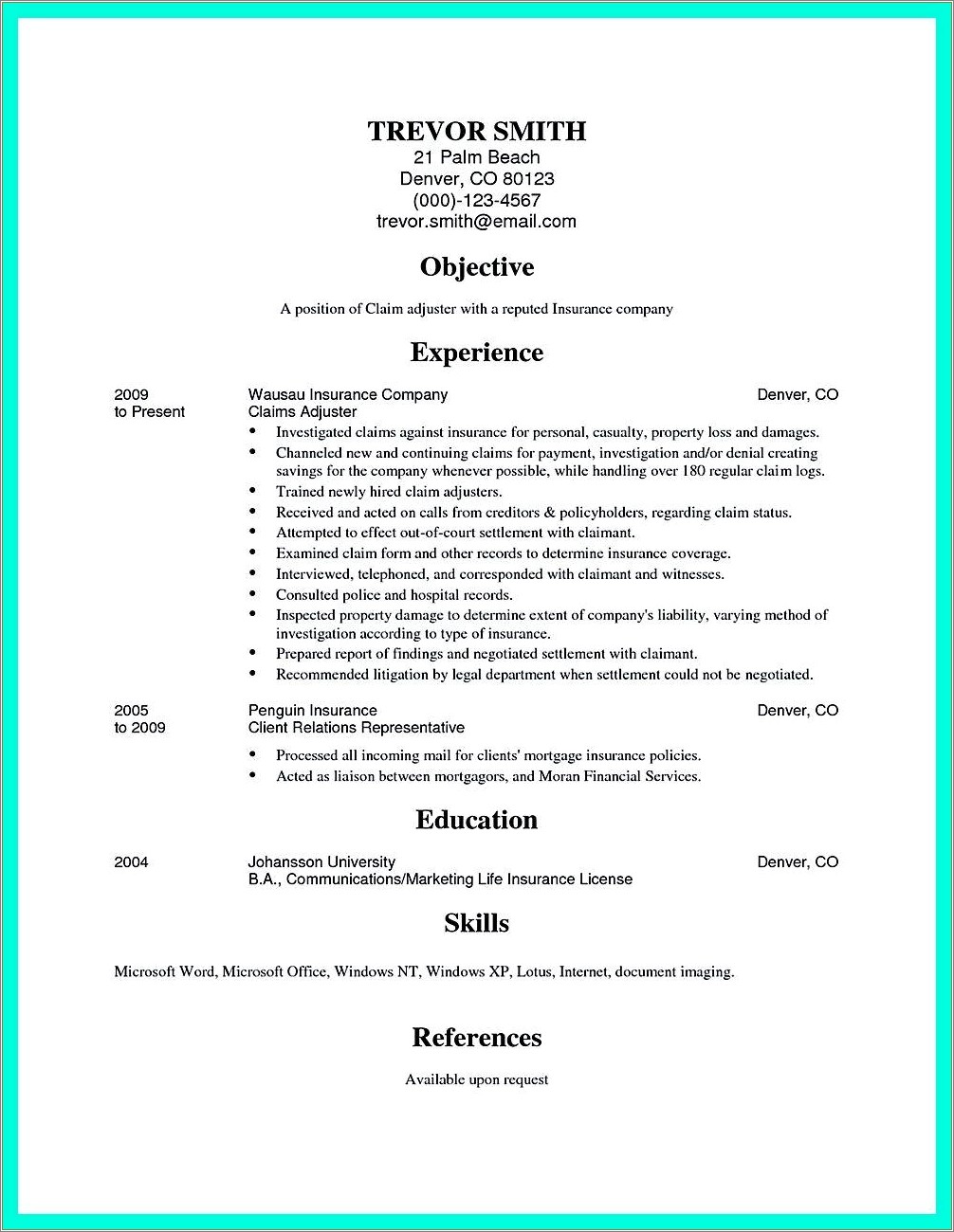 Insurance Adjuster Resume Summary Examples Resume Example Gallery