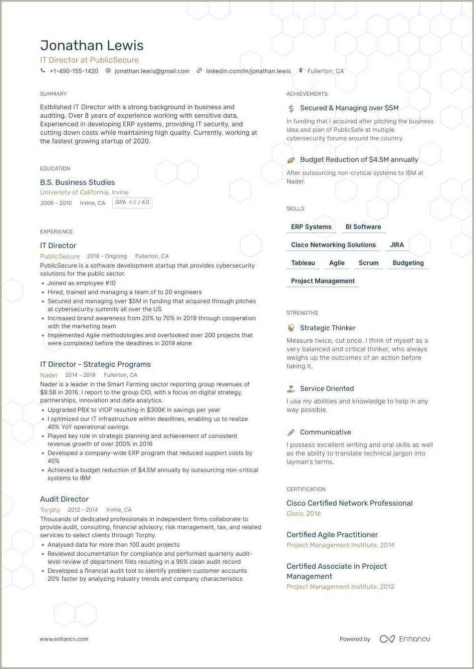 it-director-job-description-resume-resume-example-gallery