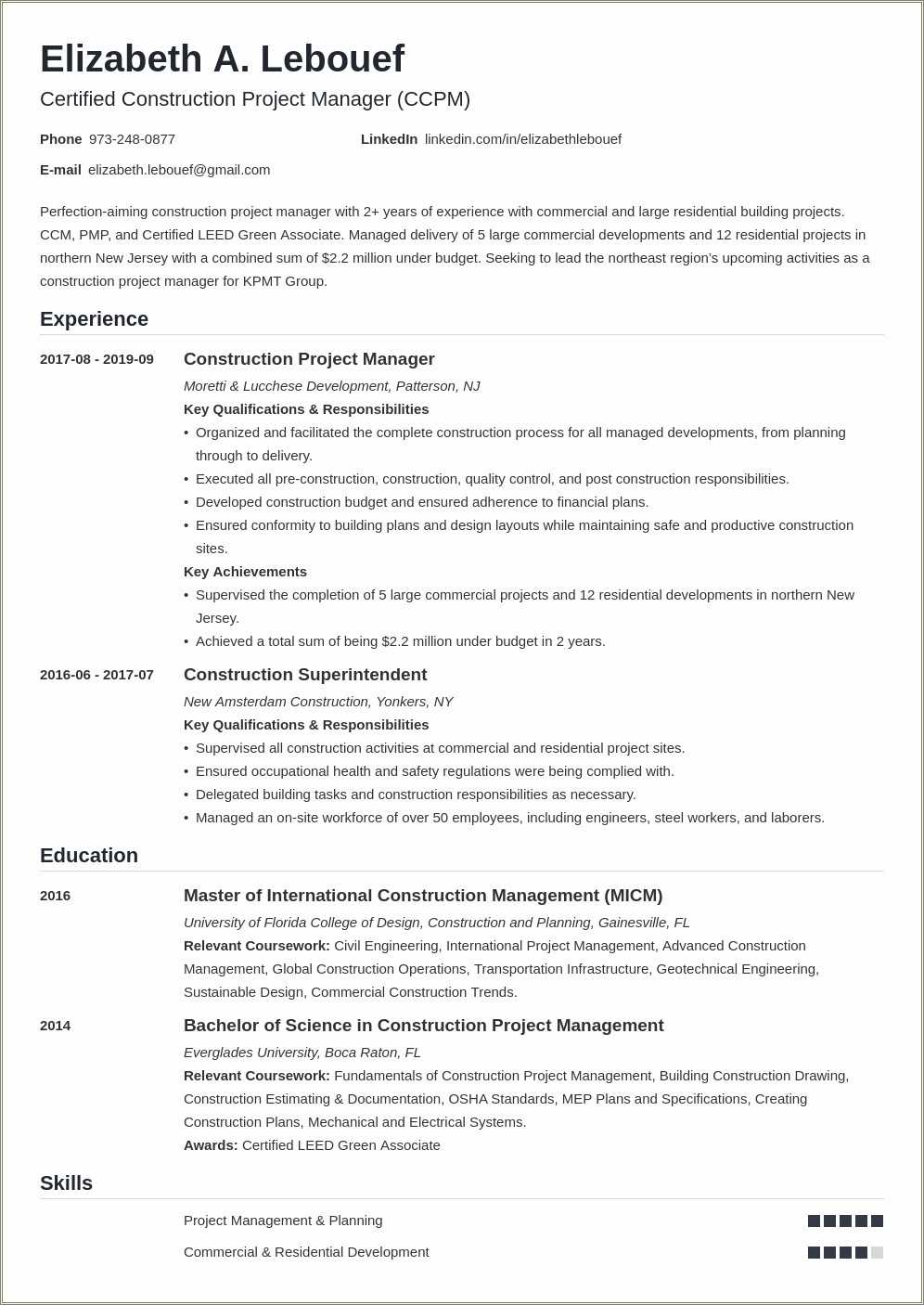 Project Management Professional Summary Example