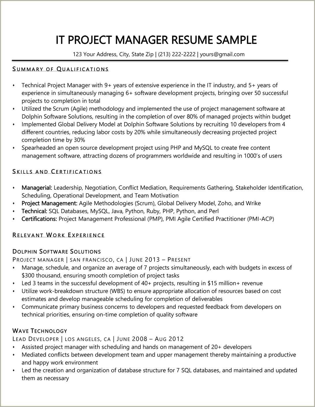 It Project Manager Resume Summary Mid Level Resume Example Gallery