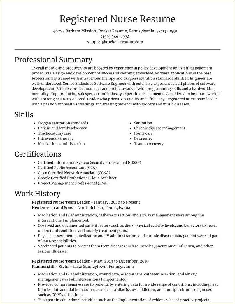 it-team-leader-resume-samples-resume-example-gallery