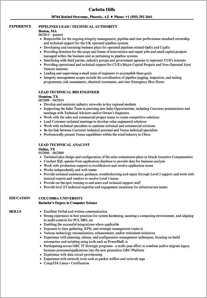 it-tech-lead-resume-samples-resume-example-gallery