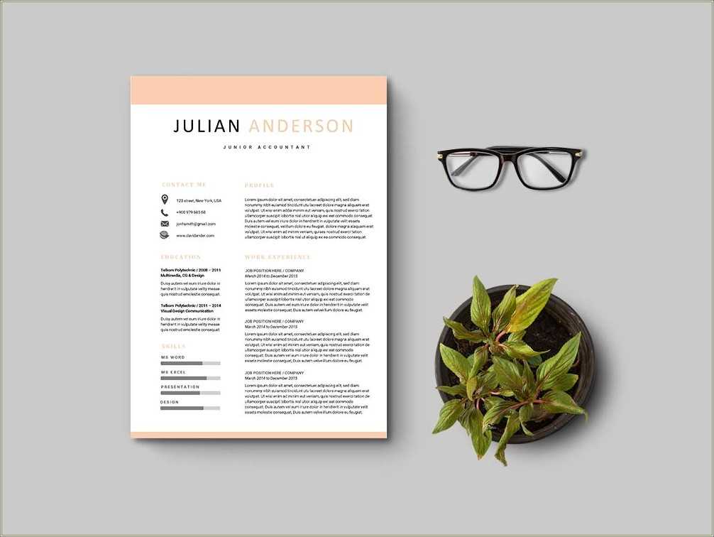 junior-accountant-resume-sample-doc-download-resume-example-gallery