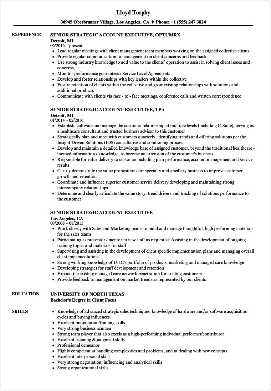 Key Account Executive Resume Examples - Resume Example Gallery