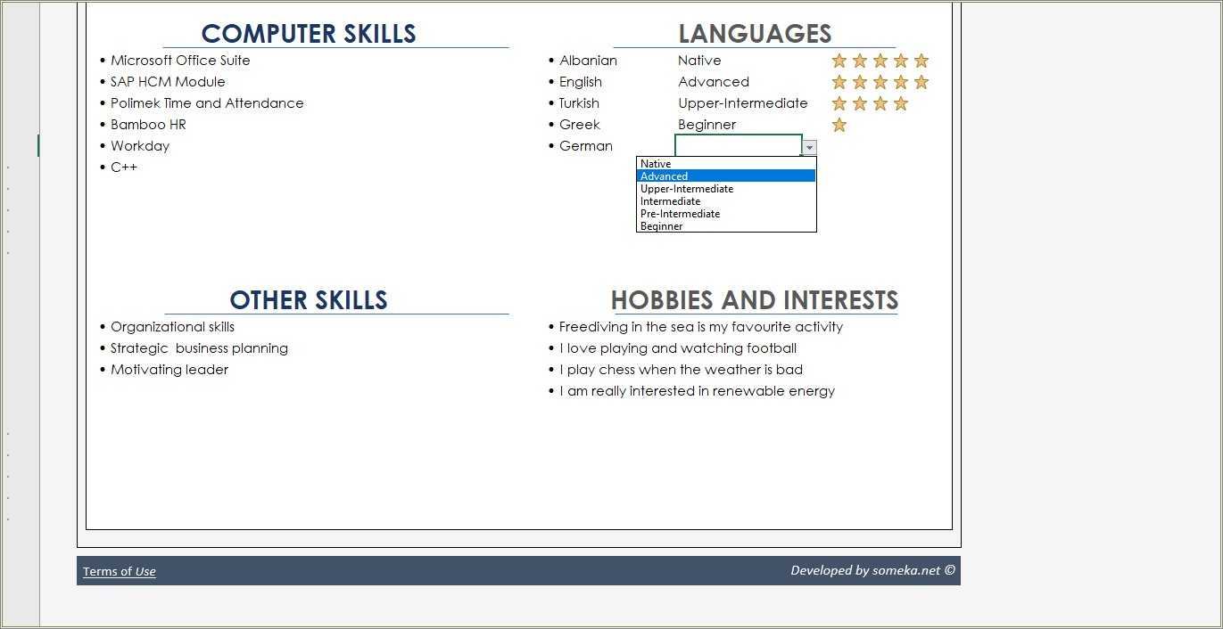 List Of Advanced Excel Skills Resume Resume Example Gallery