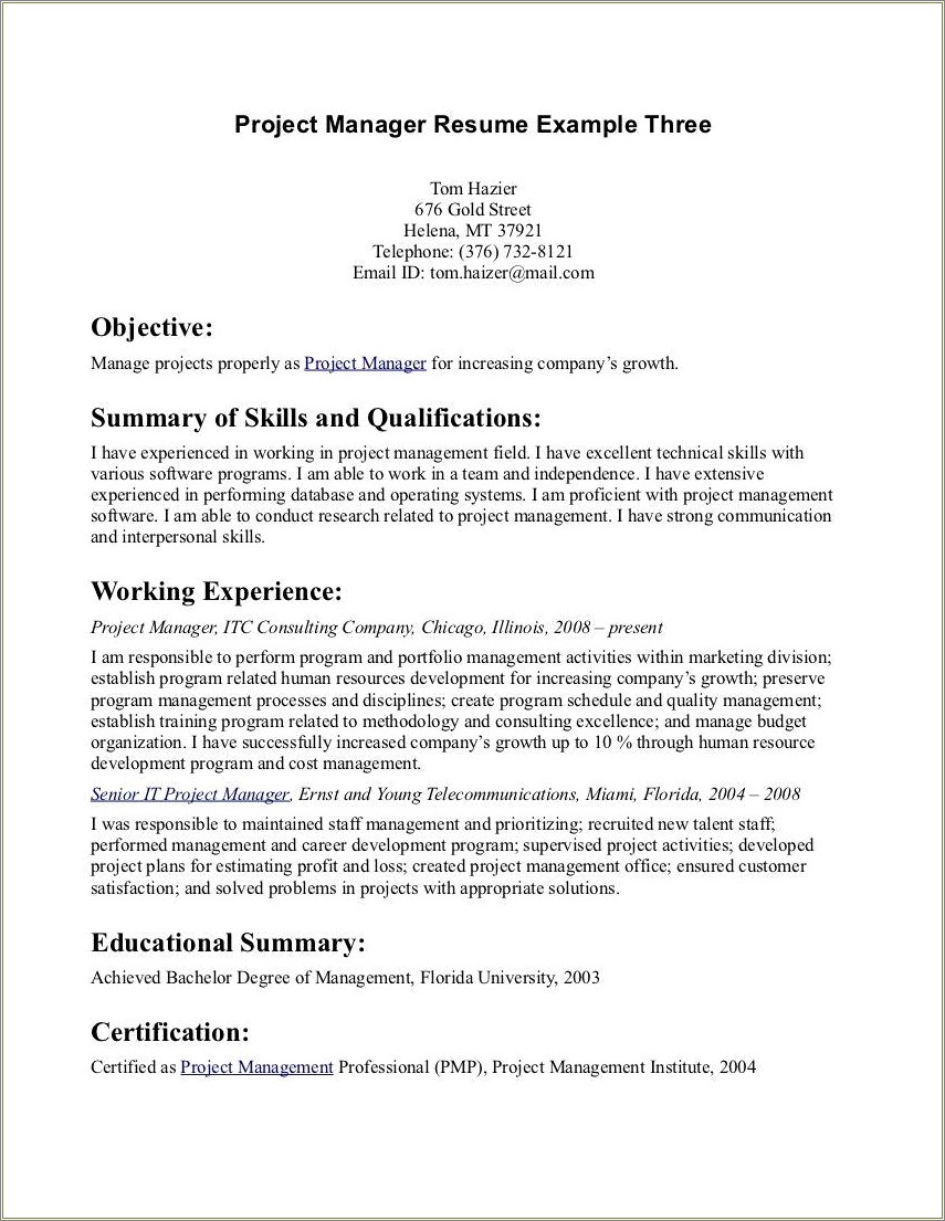 it-manager-resume-objective-examples-resume-example-gallery