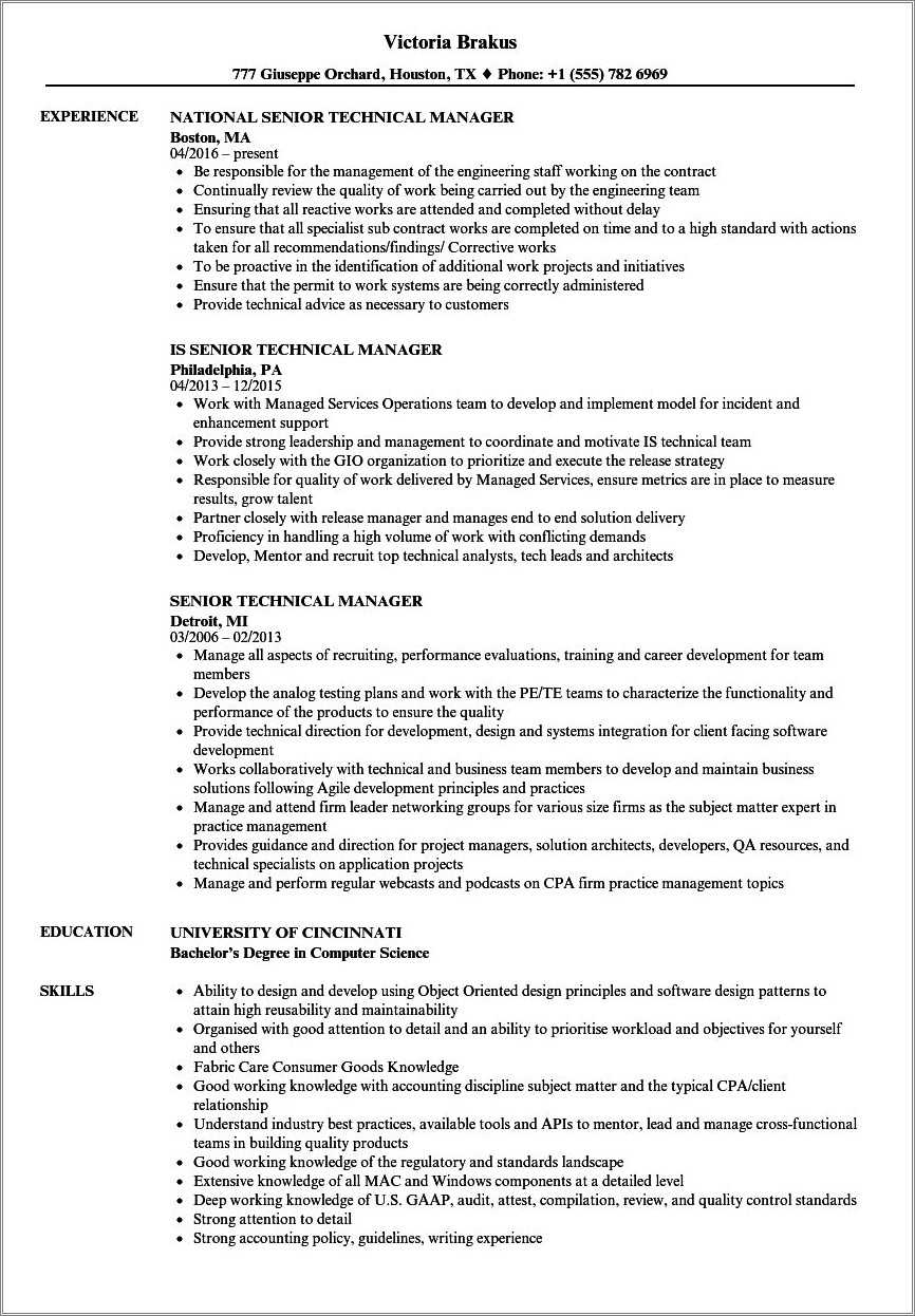 technology project manager resume