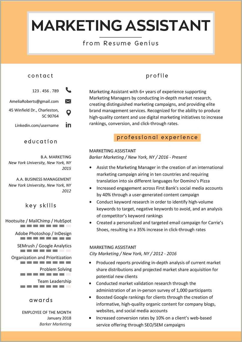 marketing-professional-resume-objective-statement-resume-example-gallery