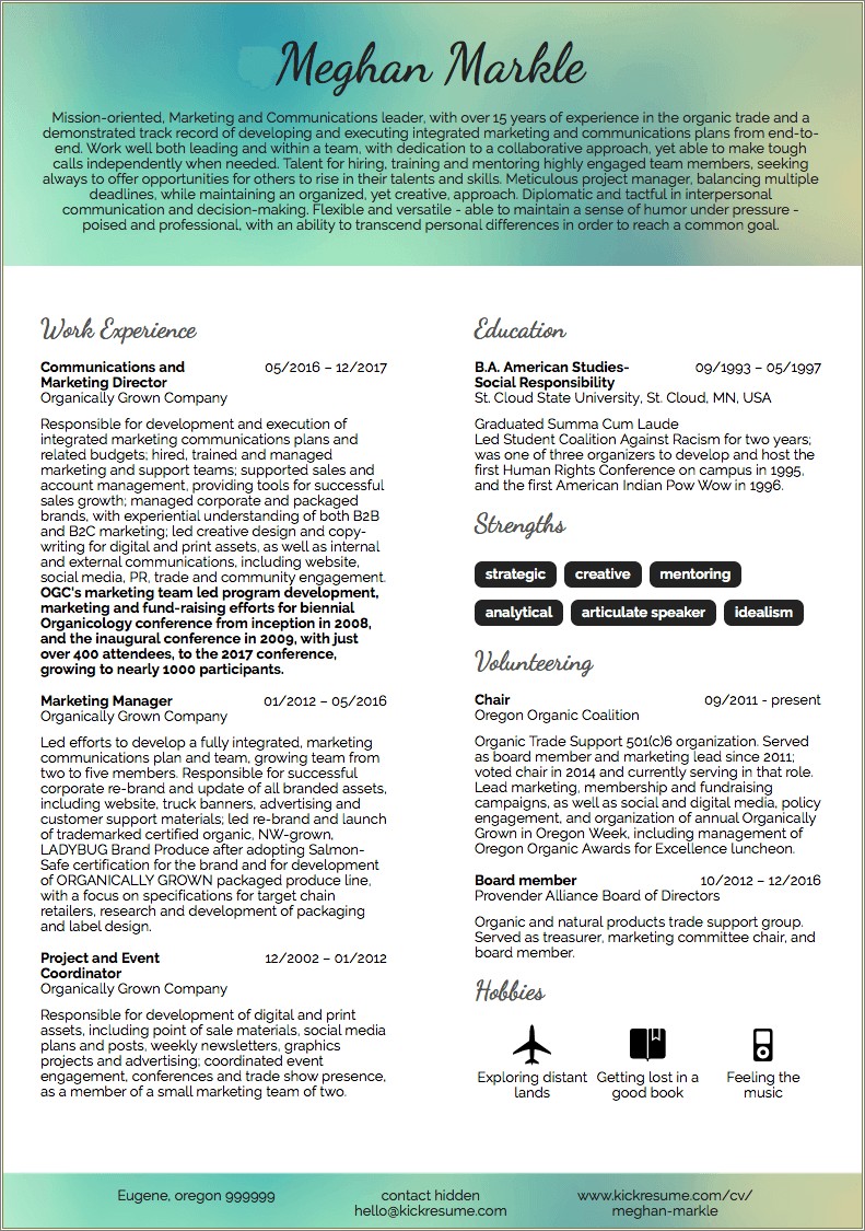 resume-opening-summary-statement-examples-resume-example-gallery