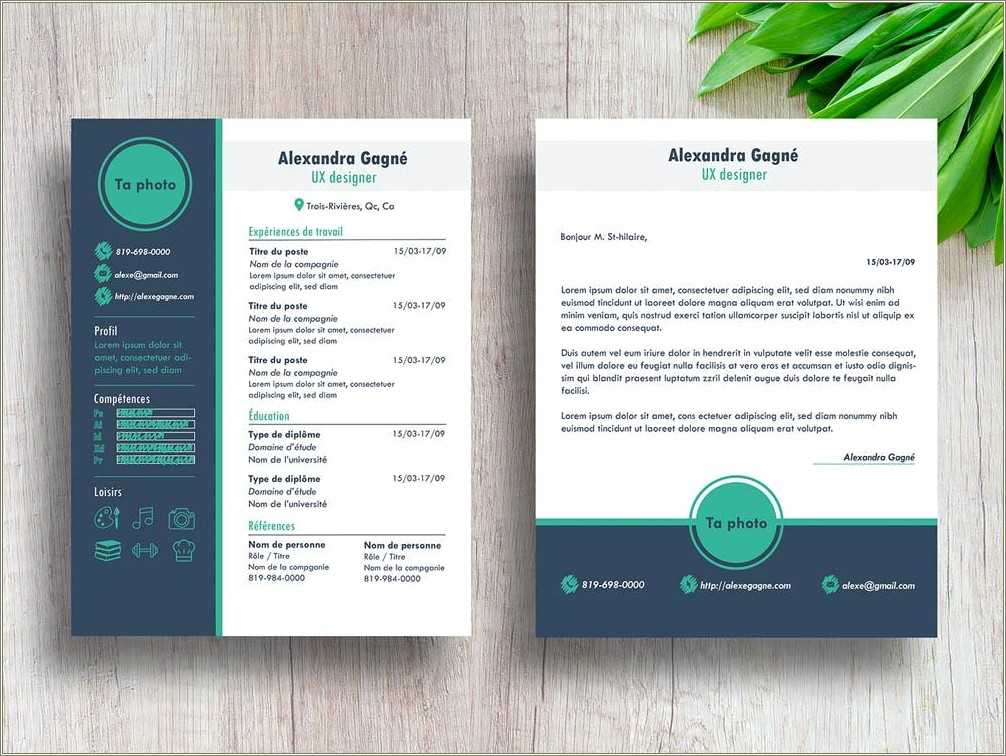 Modern Resume Templates Free Download For Microsoft Word Resume 